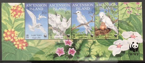 Ascension 1999 endangered - 1999,