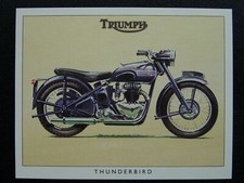 Triumph Motorcycles Series - THE TRIUMPH THUNDERBIRD by Golden Era