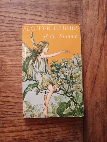 Flower fairies the summer - flower,