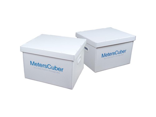 Collapsible storage bins with - storage,