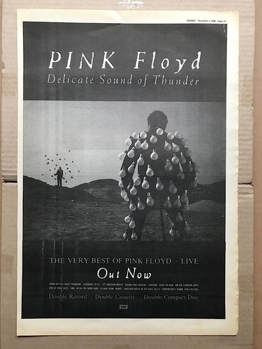 Pink floyd delicate - delicate, sound