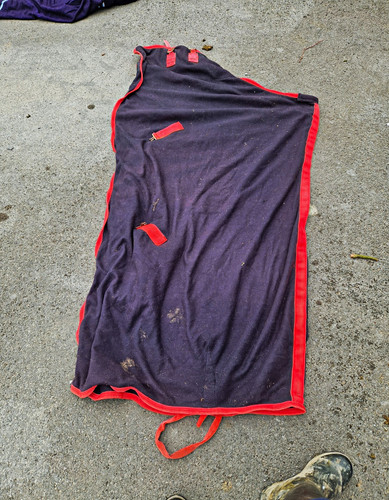 Black red horse fleece rug - &,