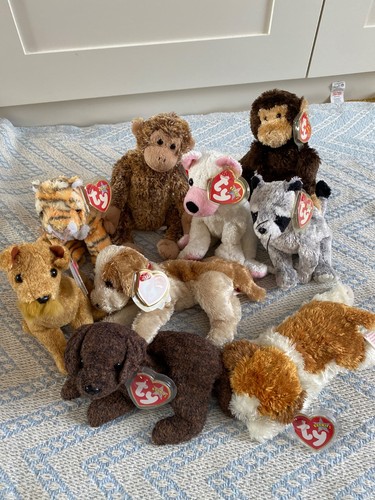 Beanie baby bundle - ty,