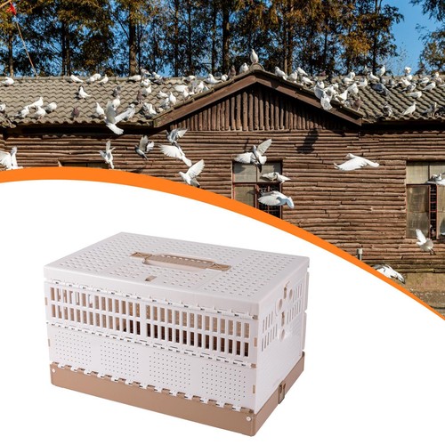 Pigeon cage carrier box easy - pigeon,