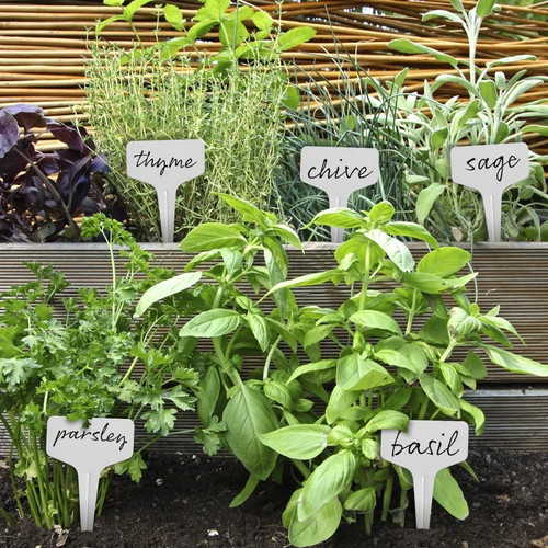 100pcs plastic plant - 100pcs,