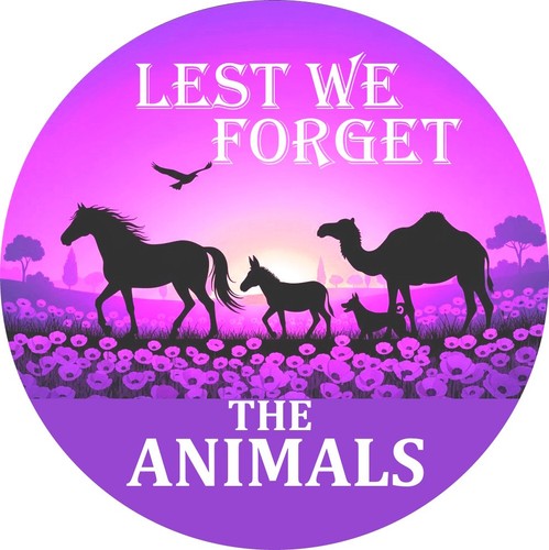 Purple poppy badge remembrance - poppy,