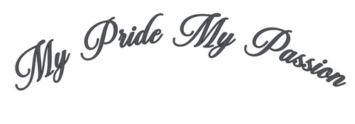 Pride passion truck - pride,