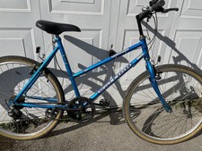 Raleigh Eternity Ladies Retro