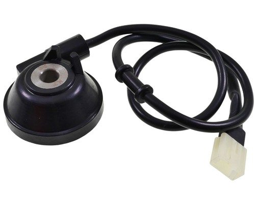 Speedometer worm digital - worm,