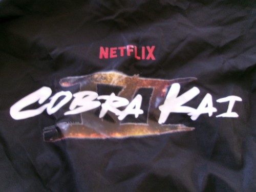 Cobra kai netflix new - netflix, 6