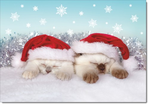 Doodlecards blank christmas - blank,