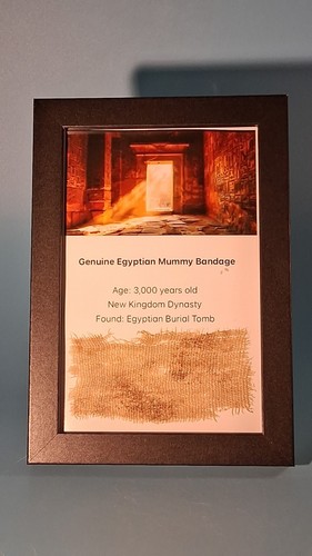 Genuine egyptian mummy bandage - genuine,