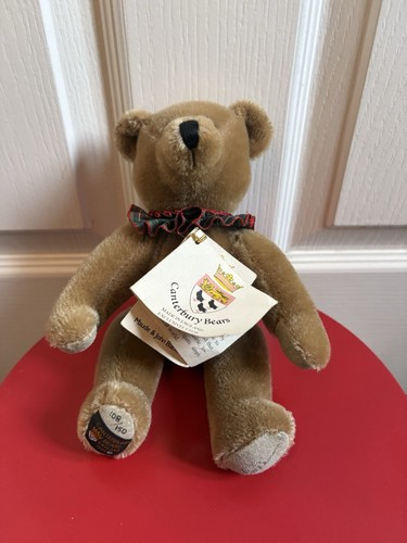 Canterbury bears jake - bears,