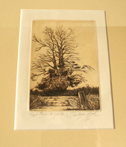 Signed limited edition print - limited,