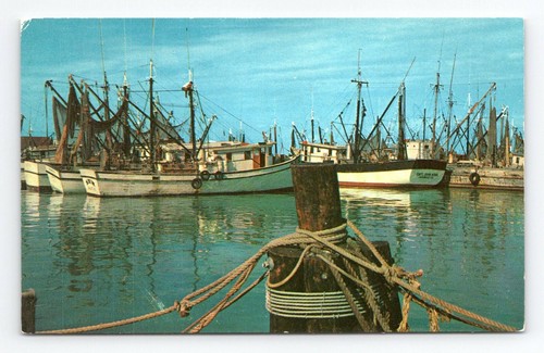 The shrimp fleet florida - in,