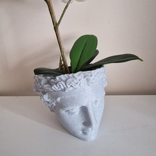 Head Planter Plant Pot Goddess Face  Grey Colour Indoor Decoration