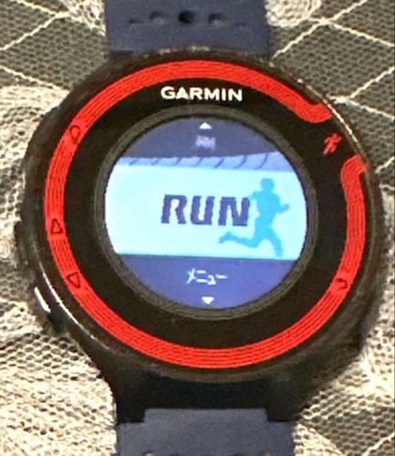 Garmin forerunner 220 - garmin,