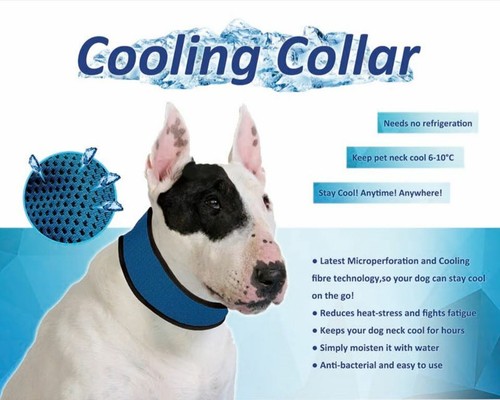 Pet cooling collar - cooling,