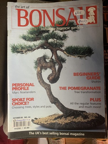 The art bonsai - art, of