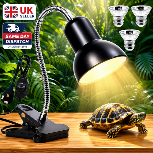 Reptile heat light bulb - heat,