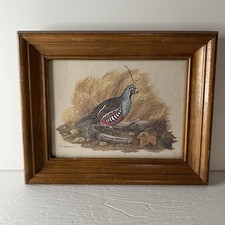 Vintage C.O. Godwin Gambel Quail Signed Lithograph Print Framed 10x8 Wood
