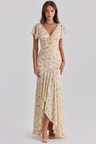 House amina dress - cb,