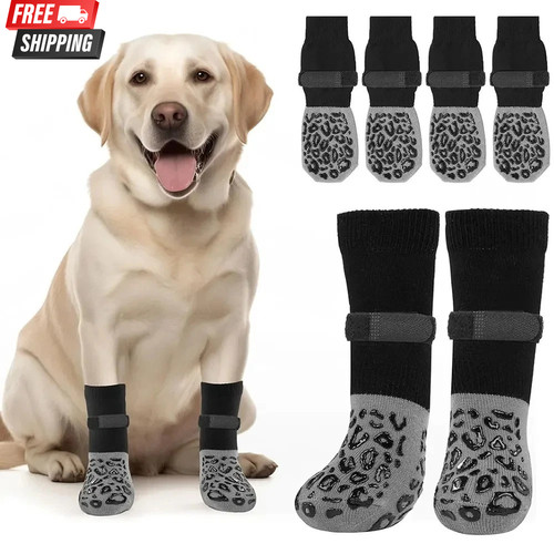 Pack anti slip dog - 4-pack, socks