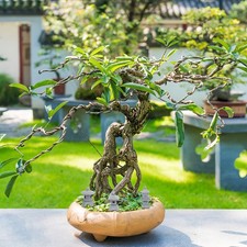 3 Pcs Zen Garden Decor