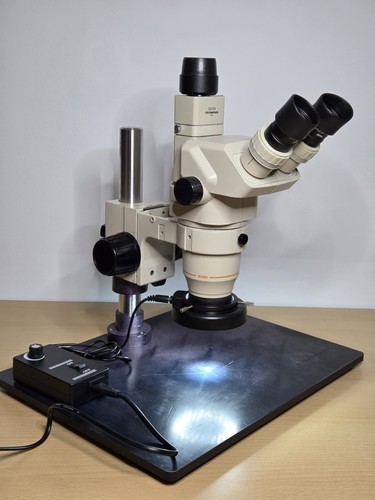 Olympus sz60 trinocular stereo - olympus,