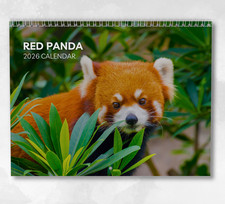Red Panda Calendar 2026