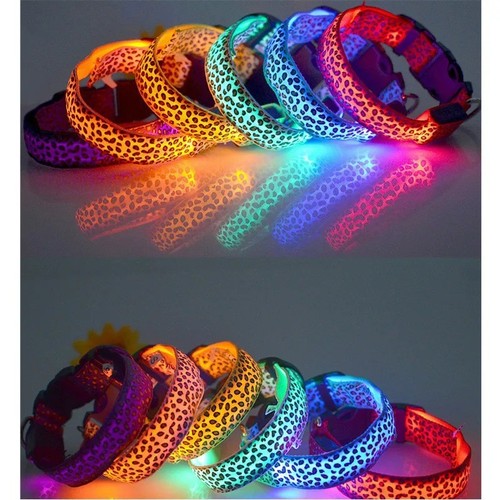 Rechargeable usb led dog pet - usb,