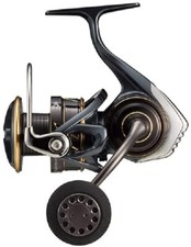 Daiwa 22 CALDIA SW 4000D-CXH