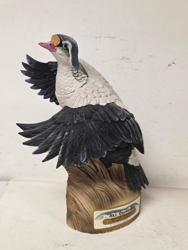 Empty ski country eider duck - country,