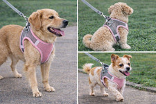 Dog Harness Breathable Soft No