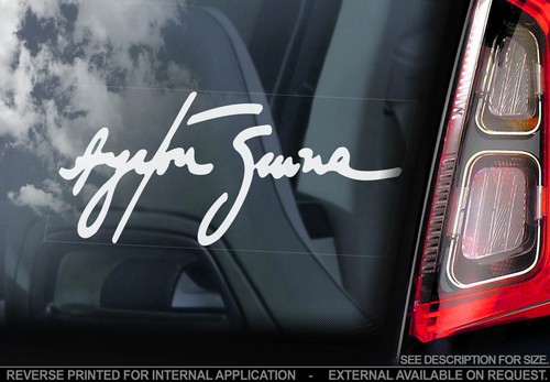 Ayrton senna car - ayrton,
