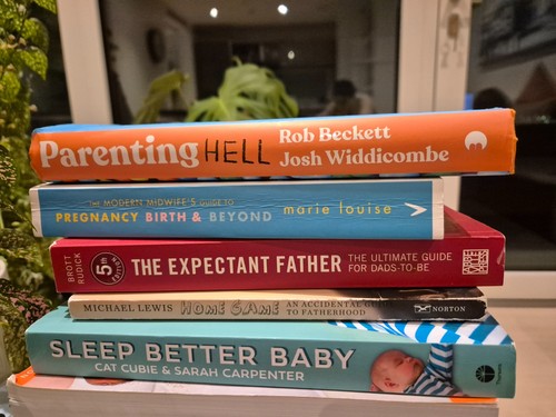 Pregnancy books - pregnancy,