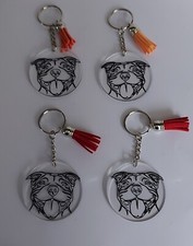 Staffordshire bull terrier