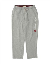 HOLLISTER Mens Graphic