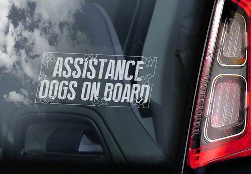 Assistance dogs board car - on,