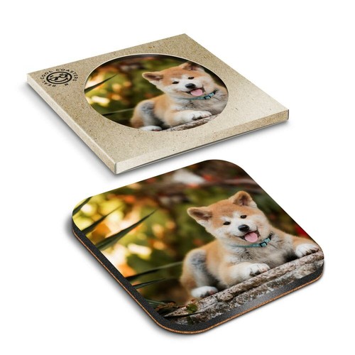 Boxed square coasters - coasters,