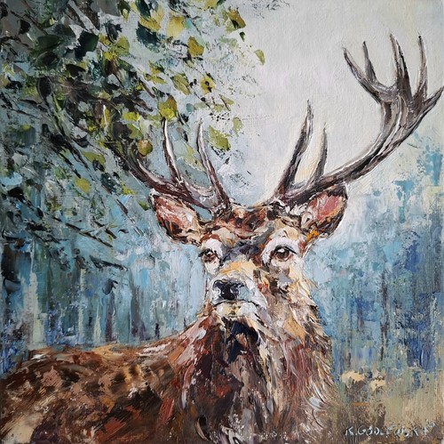 Deer portrait fine - deer,