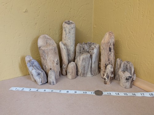 118 sculptured driftwood - sculptured,