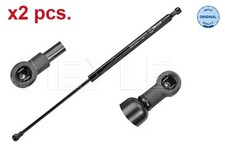 X2 PCS TAILE GATE GAS SPRINGS
