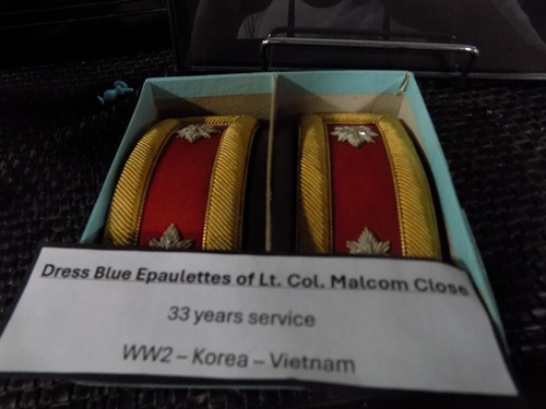 Wwii vietnam army - army, lt