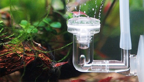 Ziss 200 aquarium - aquarium, co2