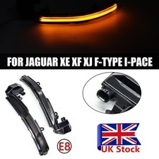 Dynamic LED Wing Mirror