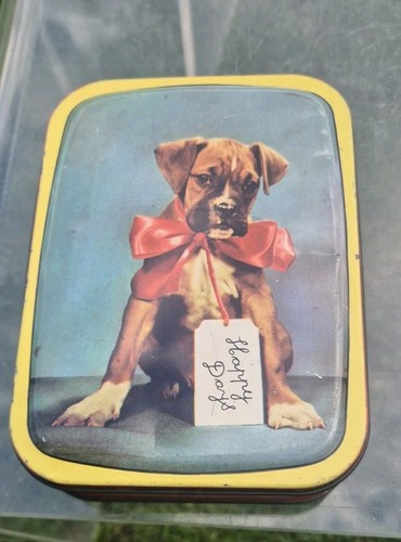 Cute boxer puppy red bow - puppy,