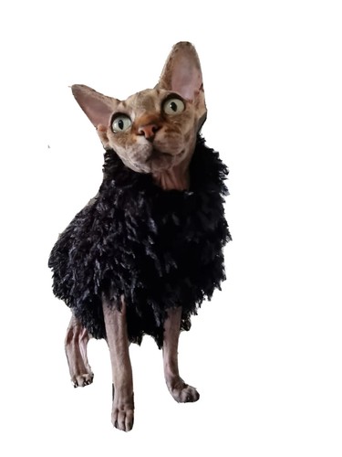 Sizes feathery for - feathery, sphynx