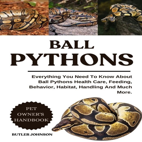 Ball pythons everything you - everything,