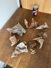 Driftwood Pieces x 9 best   "nugget" shapes. Bogwood  for viv, craft or Display